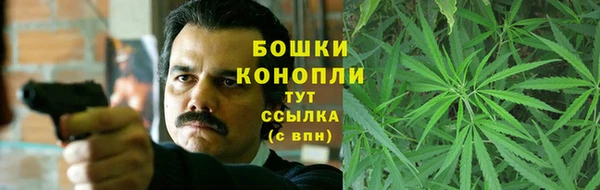 амф Туринск