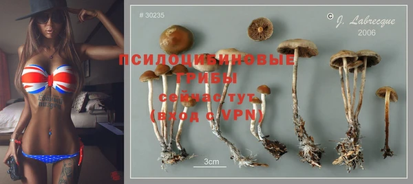 спайс Гусь-Хрустальный