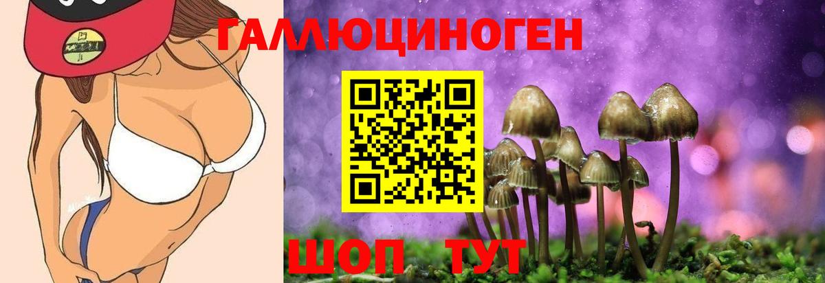 Псков  Псилоцибиновые грибы Cubensis  Псилоцибиновые грибы Magic Shrooms  Вход с VPN 